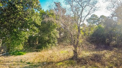 Come check out this 0.25 acre lot located near Panama City - photo 3