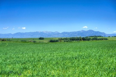 Misty Creek Ranch, a rare jewel nestled in the beauty of - photo 3