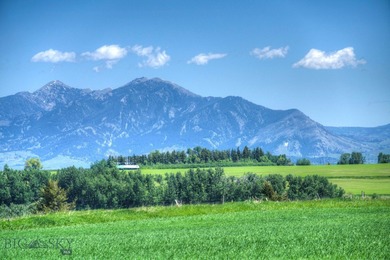 Misty Creek Ranch, a rare jewel nestled in the beauty of - photo 7