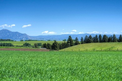 Misty Creek Ranch, a rare jewel nestled in the beauty of - photo 10