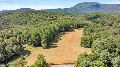 Lake Toxaway Acreage For Sale in Lake Toxaway North Carolina