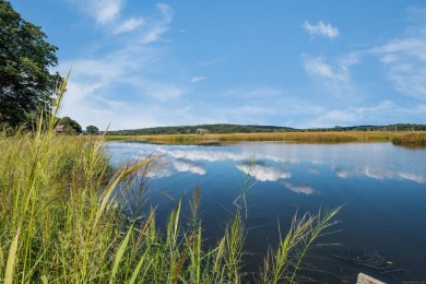 Lake Home For Sale in Essex, Connecticut
