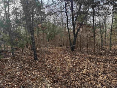 Bull Shoals Lake Acreage For Sale in Lead Hill Arkansas