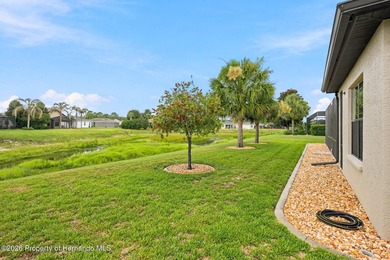9196 Palm Beach Dr., Brooksville, FL 34613 -- Welcome to this - photo 39