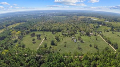 Lake Acreage For Sale in Grapeland, Texas