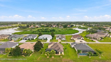 9196 Palm Beach Dr., Brooksville, FL 34613 -- Welcome to this - photo 44
