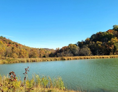 TRULY UNIQUE, PRIVATE, GEM OF A PROPERTY!!! 475 ACRES, TWO - photo 6