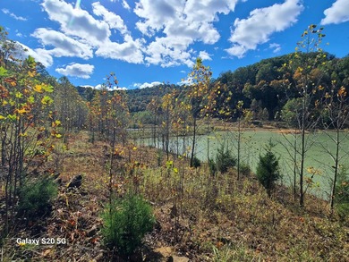 TRULY UNIQUE, PRIVATE, GEM OF A PROPERTY!!! 475 ACRES, TWO - photo 10
