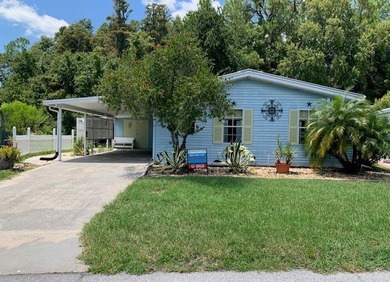 (private lake, pond, creek) Home For Sale in Lakeland Florida