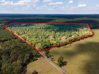 Toledo Bend Lake Acreage For Sale in Shelbyville Texas