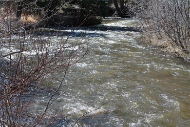 (private lake, pond, creek) Home For Sale in Boulder Montana