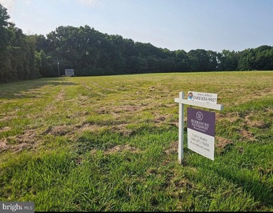 Beautiful, 2+ acre level building lot with water views community - photo 1