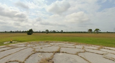 Welcome to Rotonda Meadows & Villas Conservation Association! - photo 3