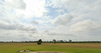 Welcome to Rotonda Meadows & Villas Conservation Association! - photo 4