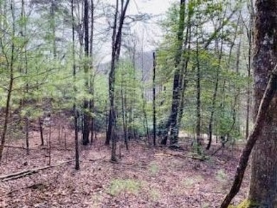 Nottely River Acreage For Sale in Blairsville Georgia