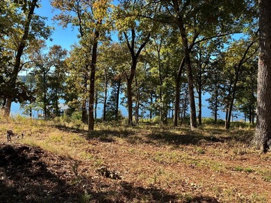 Lake Lot For Sale in Nacogdoches, Texas