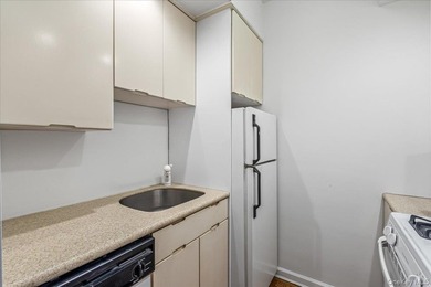 Elevate your lifestyle in this rare one-bedroom junior penthouse - photo 14
