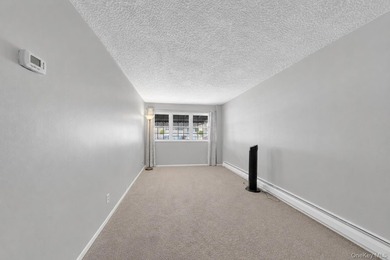 Don't miss this opportunity to own this lovely, move-in ready - photo 20
