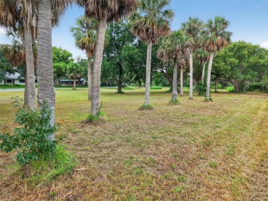 Discover an exceptional opportunity to own five vacant - photo 7