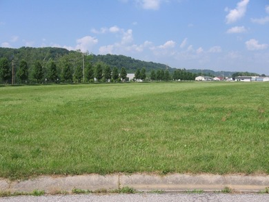 Ohio River Lot For Sale in Vevay Indiana