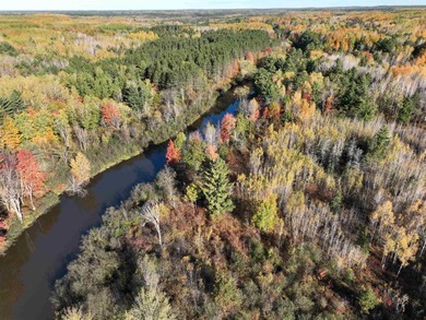 Lake Acreage For Sale in Harshaw, Wisconsin