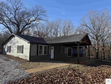 Lake Home For Sale in Edwards, Missouri