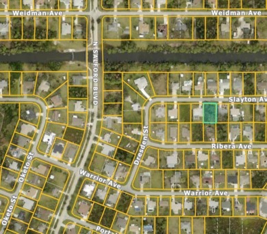 Build Your Dream Home in North Port - Prime Vacant Lot READY TO - photo 3