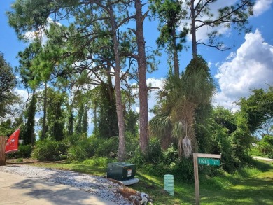 Build Your Dream Home in North Port - Prime Vacant Lot READY TO - photo 5