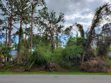 Build Your Dream Home in North Port - Prime Vacant Lot READY TO - photo 8