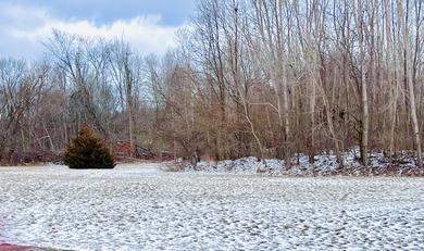 (private lake, pond, creek) Acreage For Sale in Three Rivers Michigan