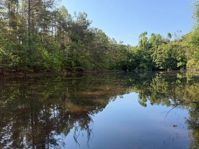 Discover the perfect blend of homesite potential, recreation - photo 1