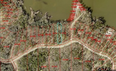 Discover the perfect opportunity to build your dream lakefront - photo 2