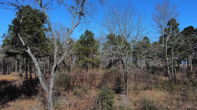 Discover the perfect opportunity to build your dream lakefront - photo 4
