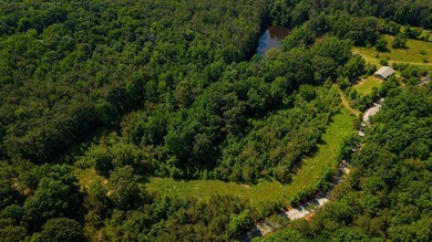 Discover the perfect blend of homesite potential, recreation - photo 6