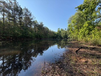Discover the perfect blend of homesite potential, recreation - photo 7