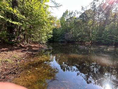 Discover the perfect blend of homesite potential, recreation - photo 8