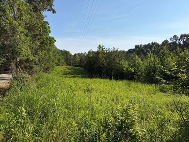 Discover the perfect blend of homesite potential, recreation - photo 10