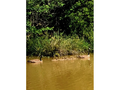 The Ideal Fisherman's Camp - photo 11