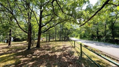 (private lake, pond, creek) Lot For Sale in Vian Oklahoma