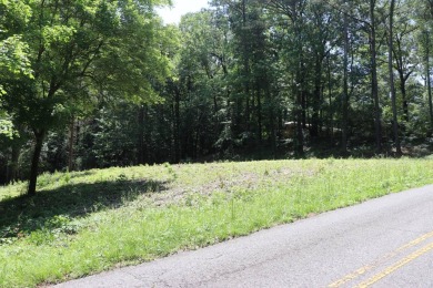 Lake Lot For Sale in Northport, Alabama