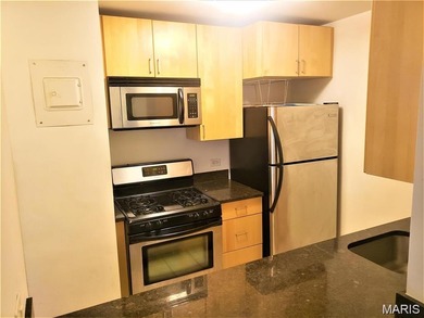 Investment Opportunity in Secure Downtown Apartment with 8th