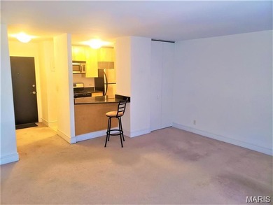 Investment Opportunity in Secure Downtown Apartment with 8th