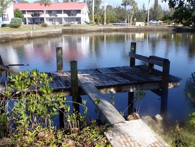 (private lake, pond, coastal) Home Sale Pending in Fort Myers Florida