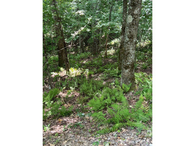 Fairfield Lake Acreage For Sale in Sapphire North Carolina