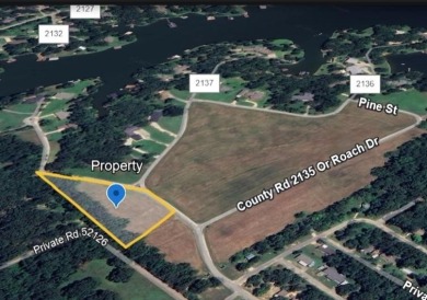 Lake Acreage For Sale in Pittsburg, Texas
