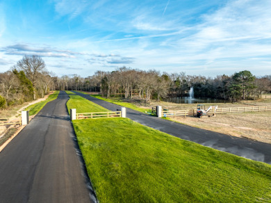 New Home in Gated Community at Lake Palestine - photo 5