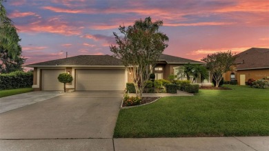 Lake Home Sale Pending in Valrico, Florida