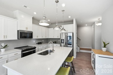 Rare end-unit corner lot in Porters Row - this premium placement - photo 3
