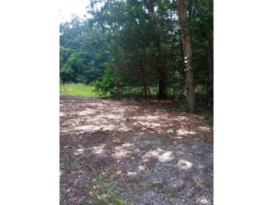 Lake Lot For Sale in Murchison, Texas