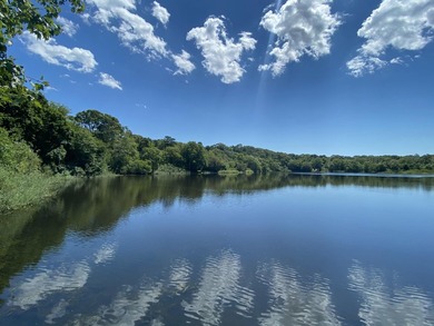 Discover a rare opportunity to own a brand-new waterfront - photo 8